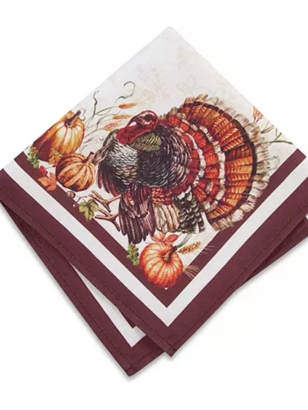 Festive Turkey & Pumpkin Dinner Napkins - Burgundy Border set of 4
